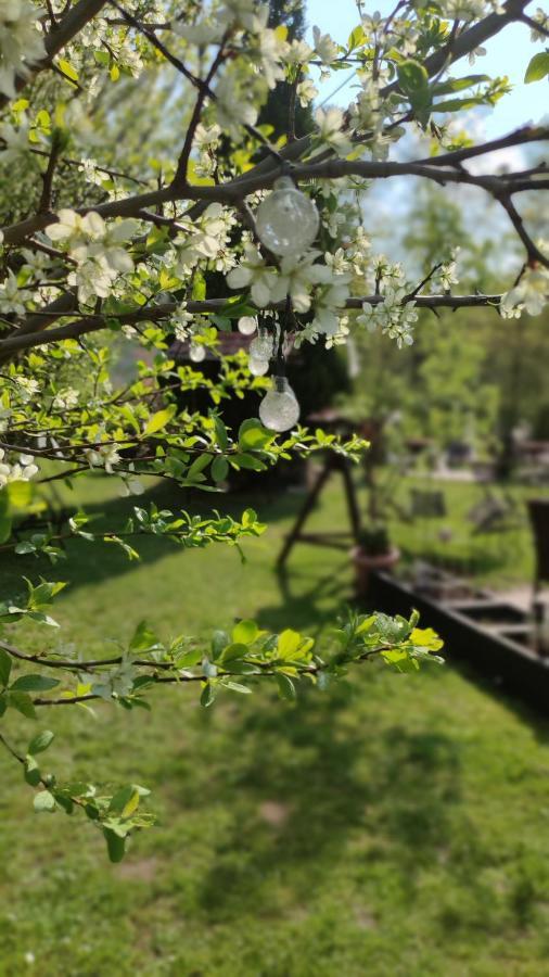 Schlossparkhotel Sallgast ภายนอก รูปภาพ