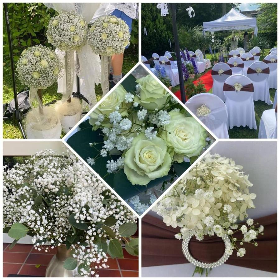 Schlossparkhotel Sallgast ภายนอก รูปภาพ